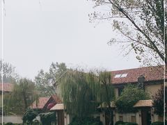 -思念果岭悦温泉