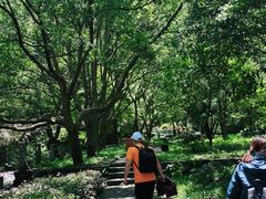 -宁波五龙潭景区