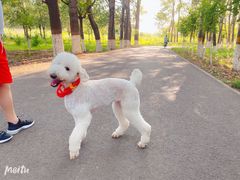 -东郊湿地公园