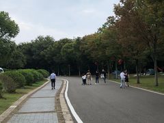 -南京市江宁方山