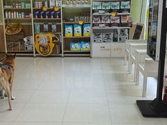 -瑞鹏宠物医院·夜间急症·心超·猫科(祖庙分店)