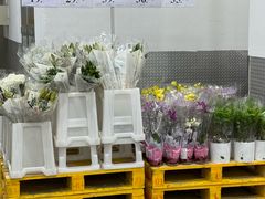 -山姆会员商店(亦庄创意生活广场店)