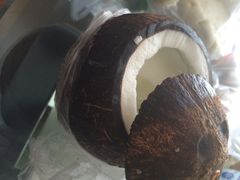 -志龙皇冠吃货椰子铺