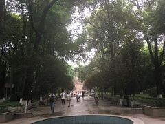 -绵阳人民公园(涪城区)