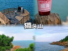 -九龙湾公园
