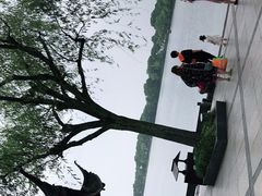 -苏堤停车场