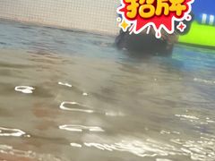 -蓝旗儿童游泳俱乐部(北国中心)