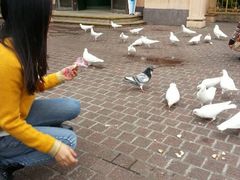 android_upload_pic-东部华侨城