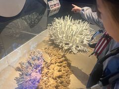 -天津自然博物馆