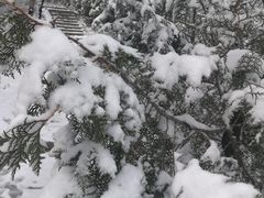 -北京凤凰岭