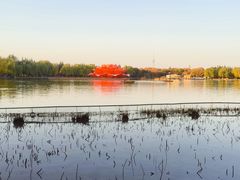 -洛阳市隋唐城遗址植物园