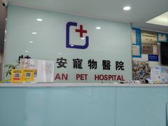 -特一安24小时宠物医院·骨科·中兽医