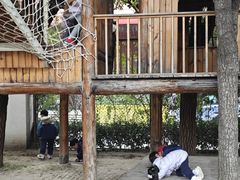 -金宝幼儿园(通州校区)