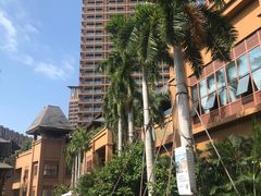 -亚马逊丛林水乐园