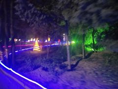 -枫花园汽车电影院(朝阳公园店)