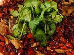 -华豫川酒家(大卫城店)