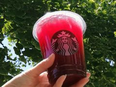 冰摇红莓黑加仑茶-星巴克臻选(深圳嘉里建设广场店)