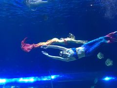 -华夏文旅海洋公园