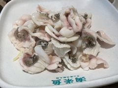 招牌鲜鱼片-淘米捞·米汤脆鲩鱼火锅(福田皇岗店)