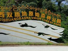 -西双版纳原始森林公园