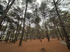 -Club Med地中海俱乐部·桂林度假村