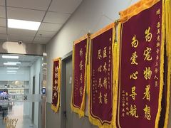 -嘉美宠物医院