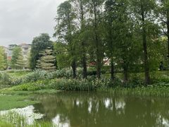 -顺峰山公园