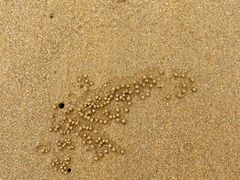 -日照海滨国家森林公园