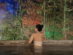 -花水湾第一村温泉大酒店