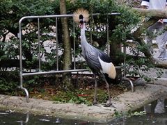 -黔灵山公园