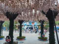 -海合安成都极地海洋公园