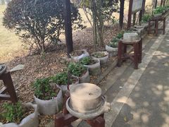 -武汉紫薇都市田园