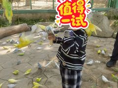 -北戴河集发农业梦想王国