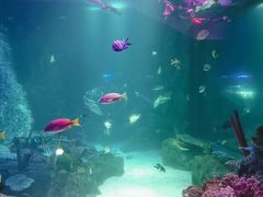 -沈阳海洋探索中心