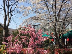 -石湖景区