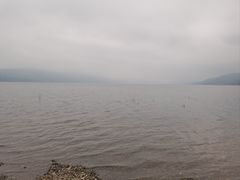 -阳宗海湿地
