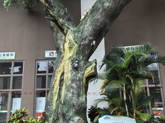 -海南白石岭旅游区