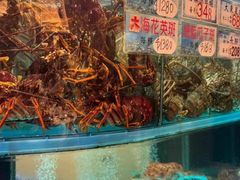 -海港酒家(上水新丰店)