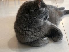 -平行世界·猫咖(首经贸店)