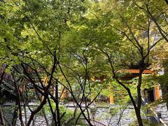 -鱼桥巷·美学川菜