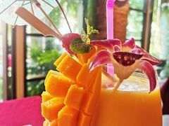 芒果汁-Daddy Nimman Chiang Mai