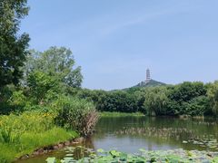 -北坞公园