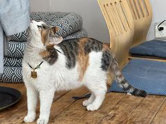 -后海16号·北京私房菜