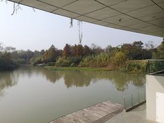 -中国湿地博物馆