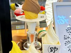 -野人先生Gelato(上海长宁龙之梦店)