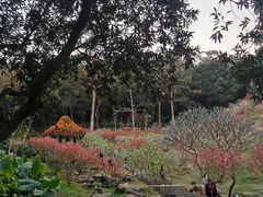 -桃花涧