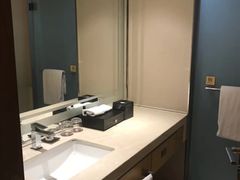 -成都明宇丽雅饭店