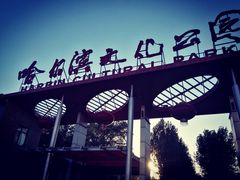 -哈尔滨文化公园