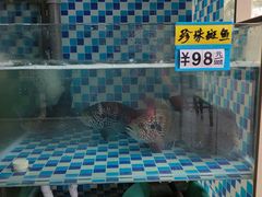 -蔚海之都·象山蒸汽海鲜(仙霞路店)