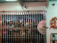 -武汉关码头(轮渡站)